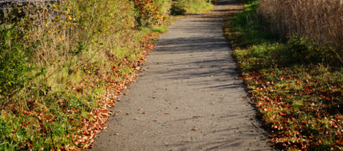 Ens kriterier for vedligehold af stier i hele kommunen